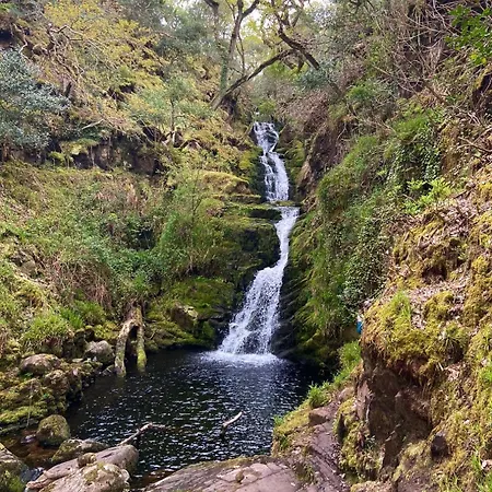 Breenville Nyaraló