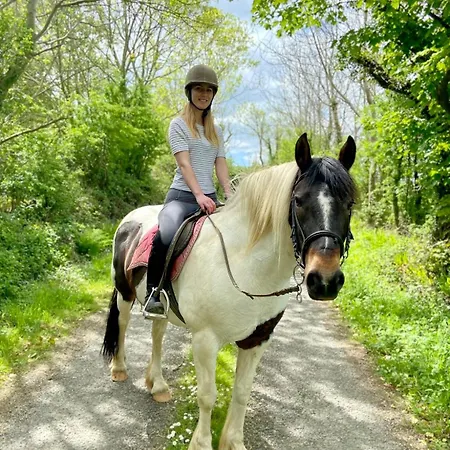 Nyaraló Breenville Tralee