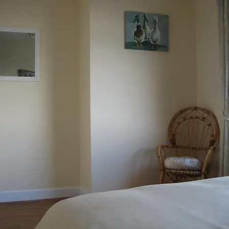 Breenville Laccamore