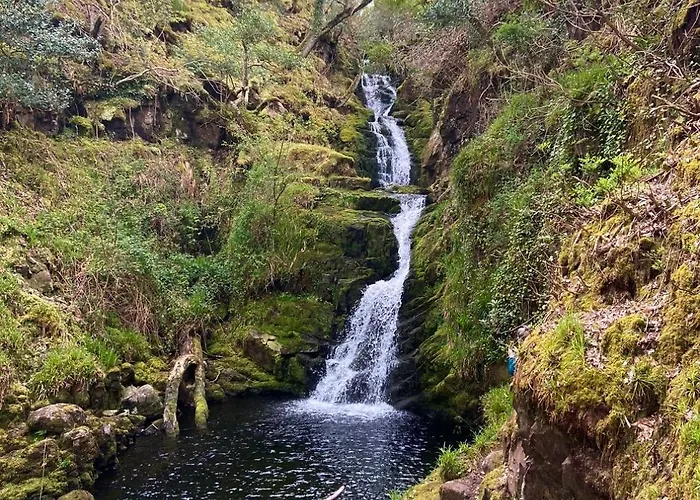 Breenville 度假居